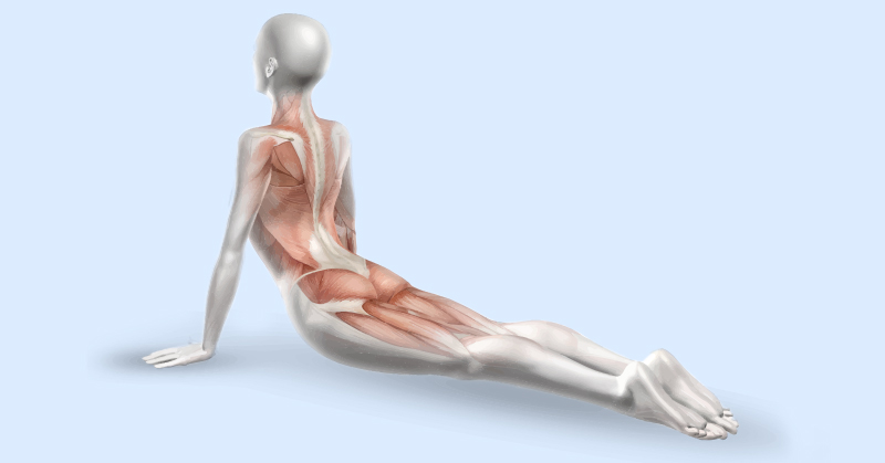 I’ve Been Stretching 10 Minutes a Day for 30 Days, and Here’s What’s Changed - Featured image