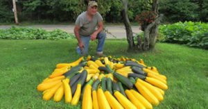 Man Turns Island Into Garden to Grow 7,000 pounds of Food for the Homeless man grows food on island