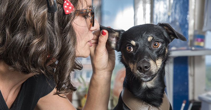 Study Finds That a Dog’s Heart Rate Jumps When You Say “I Love You” To Them - Featured image