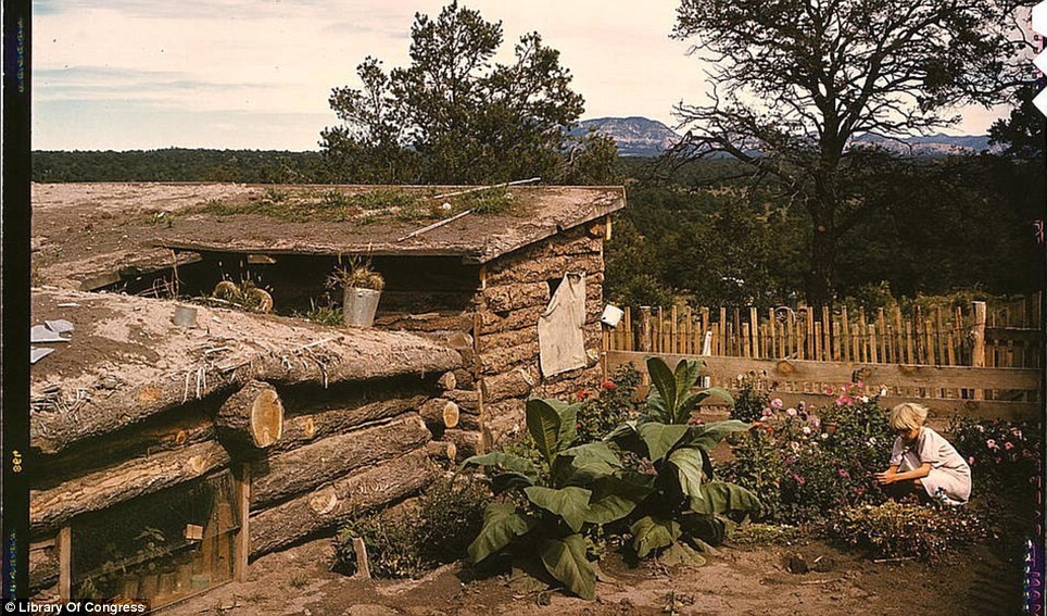 Jack Whinery’s dugout home and garden in Pie Town, New Mexico