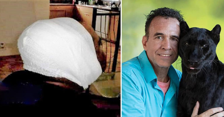 Man Gets More Than Bargained For From Black Leopard After Spending $150 For Pay-to-Play “Encounter” - Featured image