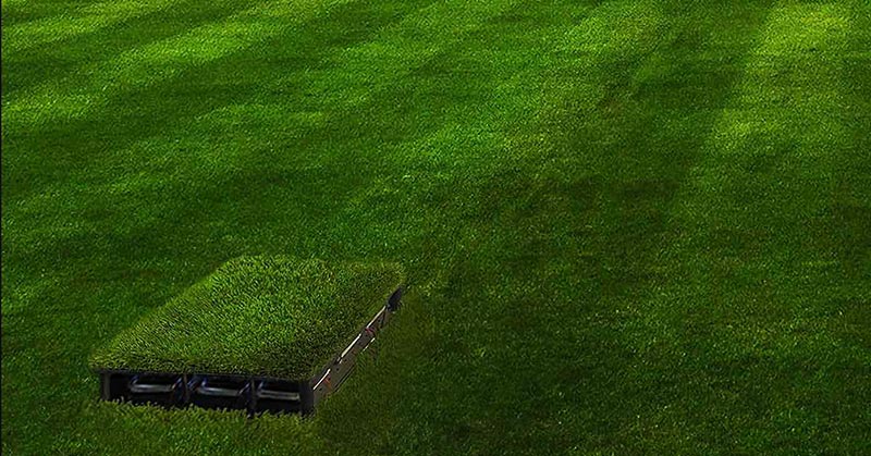 Natural Organisms in Soil Can Power Lights With This Bio Battery, Which May Be World’s Most Disruptive Technology - Featured image