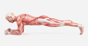 plank