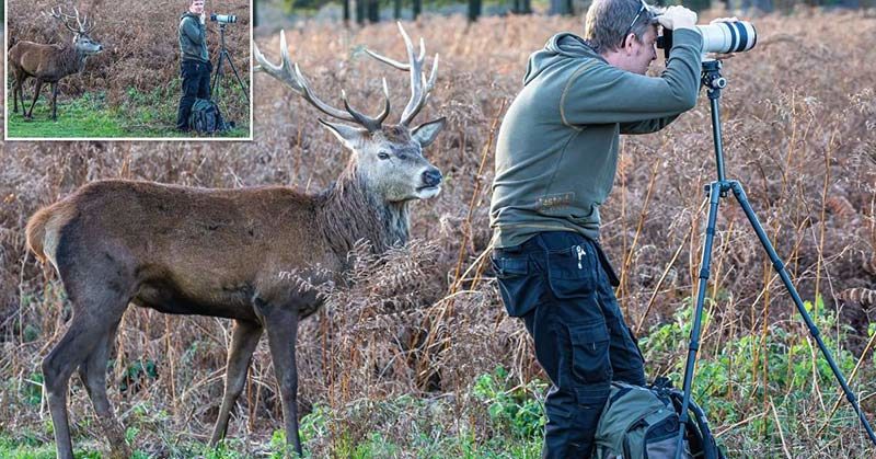 deer sneaks up behind hunter
