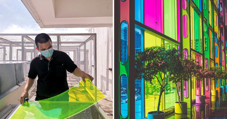 Student Invented Solar Windows Made from Rotten Vegetables - Featured image