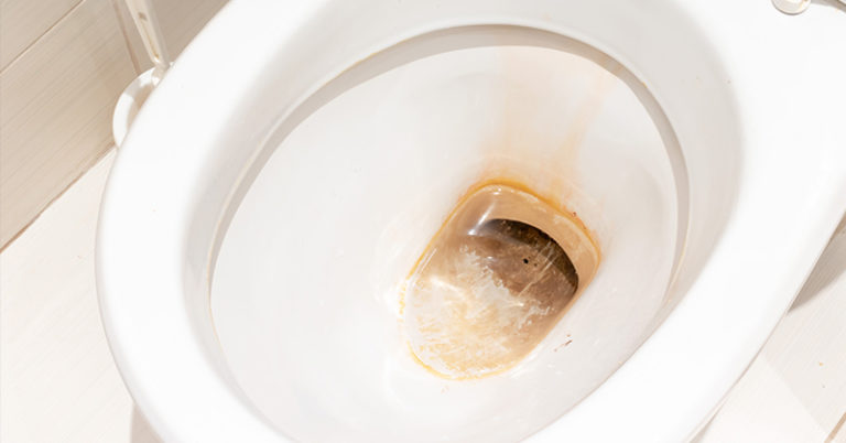 Say Goodbye to That Pesky Toilet Bowl Ring With This Hack - Featured image