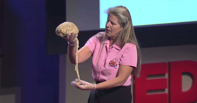 Harvard-Trained Brain Researcher Has a Stroke And Figures Out The Mystery of Life - Featured image