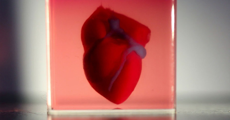 Scientists Create World’s First 3D-Printed Heart Using Patient’s Own Cells - Featured image