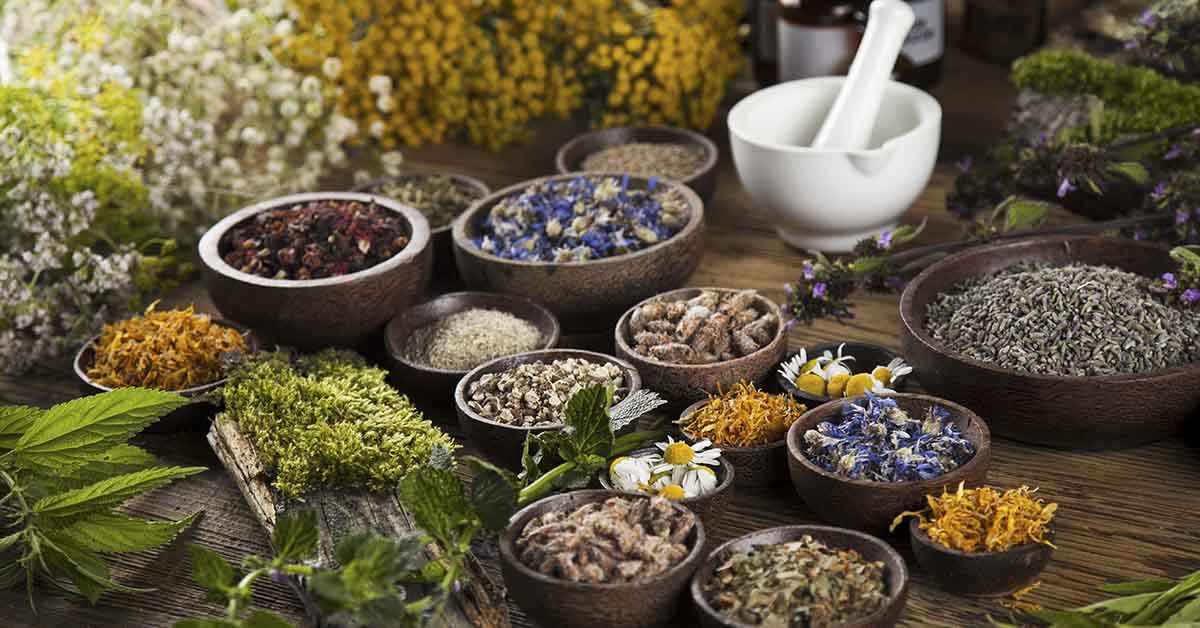 various medicinal herbs