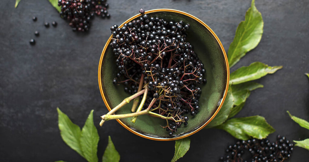 Be Ready for Winter: Make Instant Pot Elderberry Syrup In 20 Minutes - Featured image