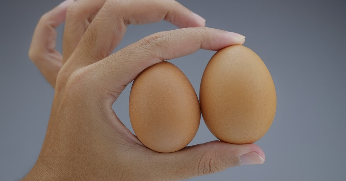 hand holding two eggs