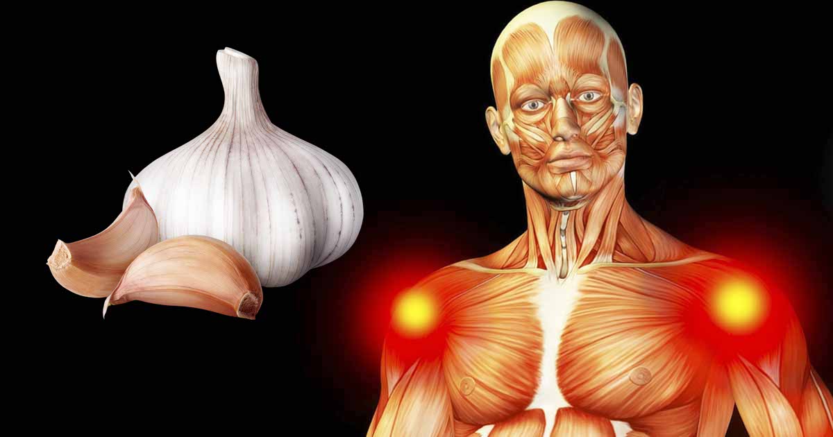 Why You Should Consider Eating Raw Garlic Daily The Hearty Soul