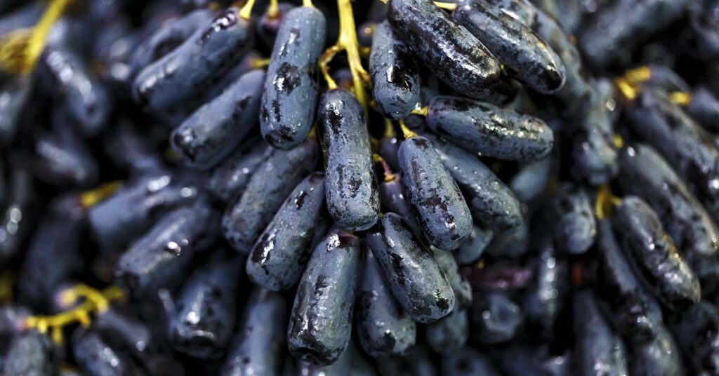 What Are Moon Drop Grapes? - Featured image