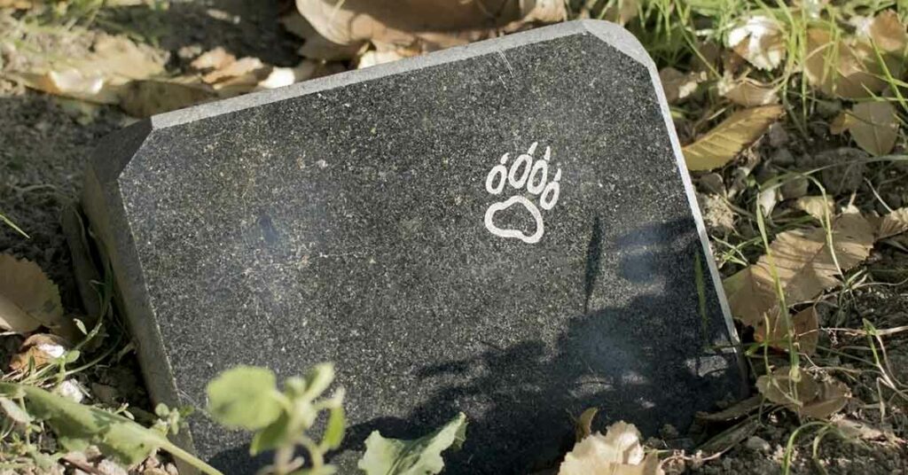 Studies Show – Losing A Pet Is More Painful Than Most People Think - Featured image