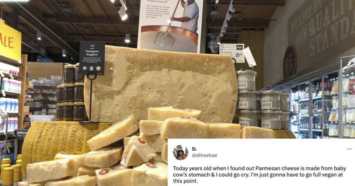 People Are Shocked to Learn that Parmesan Cheese isn’t Vegeterian