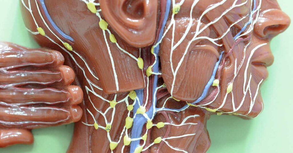 10 Ways To Support Your Lymphatic System - Featured image