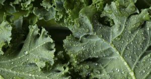 Is Kale a Superfood? Here’s why you can actually eat too much kale