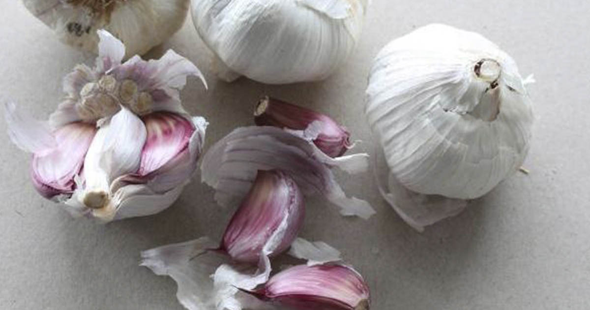 How long does garlic last? The Hearty Soul