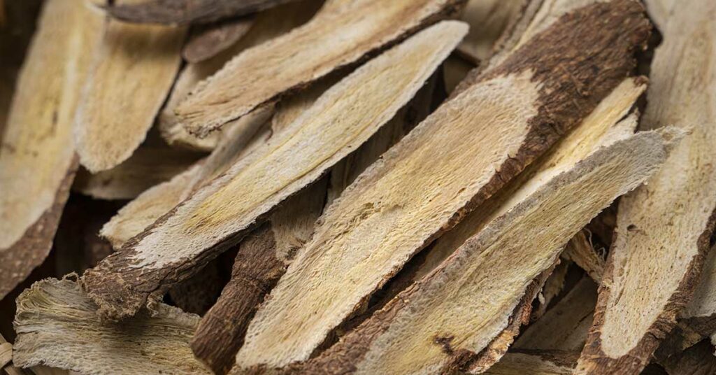 8 Benefits of Astragalus According to Scientific Studies - Featured image