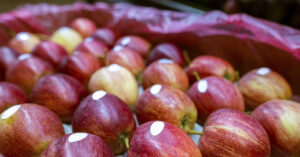 red apples
