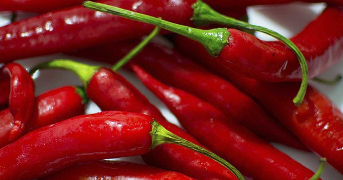 6 Health Benefits of Cayenne Pepper The Hearty Soul