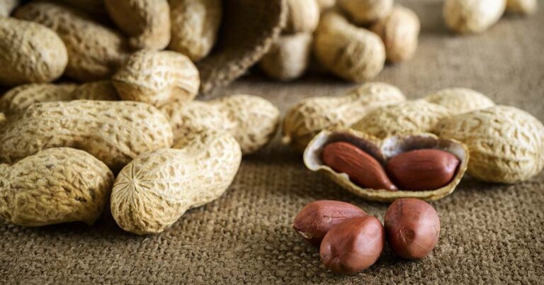 Interesting Fact: Peanuts Aren’t Technically Nuts So What Are They? - Featured image