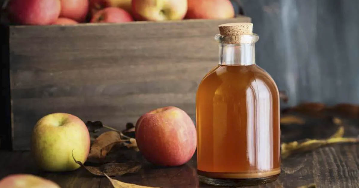 Myth Vs. Fact The Benefits of Apple Cider Vinegar The Hearty Soul