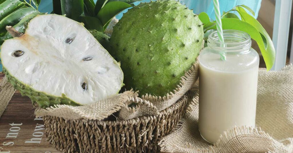 Graviola, The Antioxidant Super Fruit You’ve Never Heard Of - Featured image