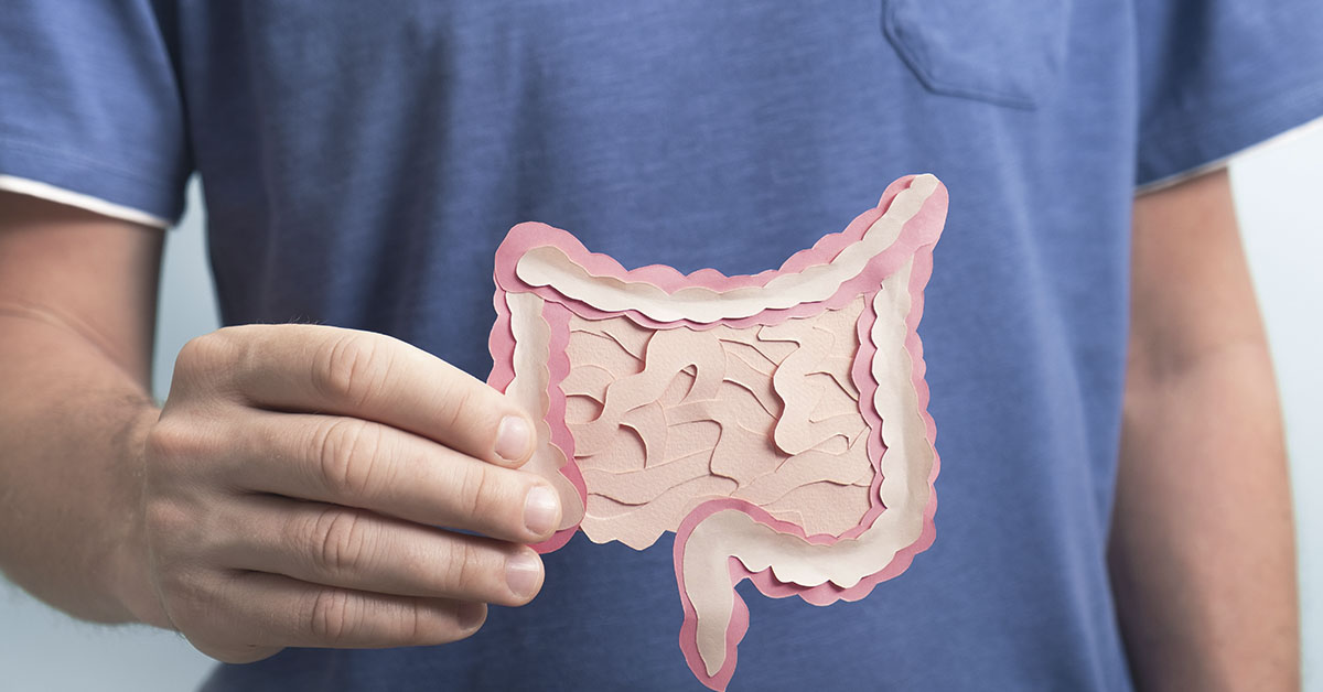 man in blue shirt holding up 2D paper model of digestive system in front of abdomen
