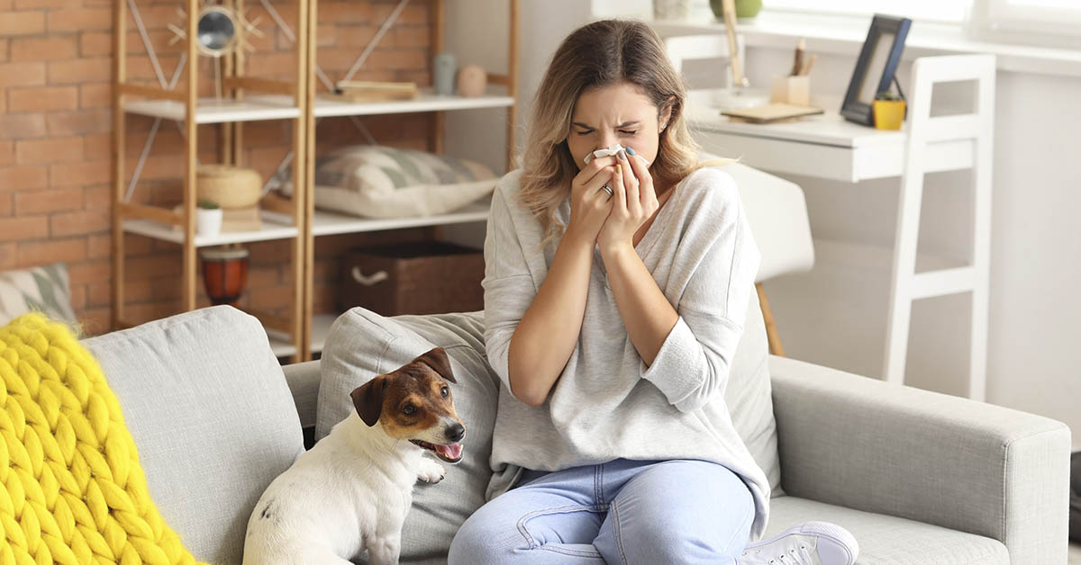 Allergy concept. woman sneezing using tissue in living room