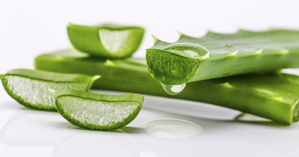 7 Health Benefits of Aloe Vera Body and Skin Will Love - Featured image