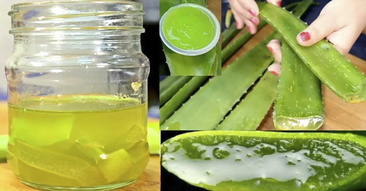 What is Fitbit Labs visual data 4