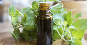 7 Potential Benefits and Uses of Oregano Oil oregano oil