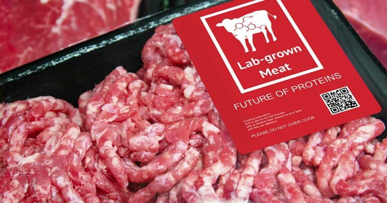 Italy moves to ban lab-grown meat to protect food heritage - Featured image