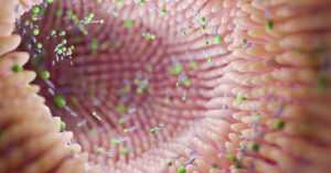 Need Probiotics? This Scientist Thinks You Should Pay $215 Monthly for a Healthy Gut illustration of inside of a GI tract with probiotics lining the walls