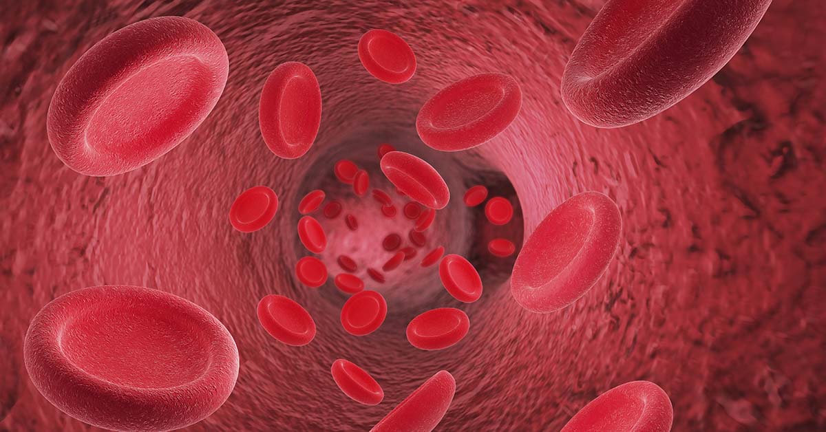 illustration of red blood cells flowing through body