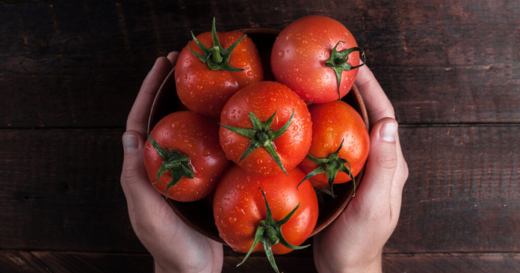 Fresh tomatoes in hands on a wooden background. Harvesting tomatoes. Top view