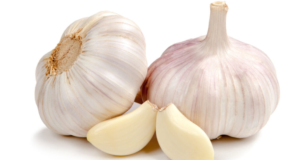 fresh garlic