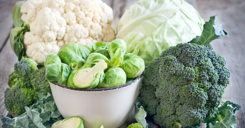 Assortment of cabbages on old wood background