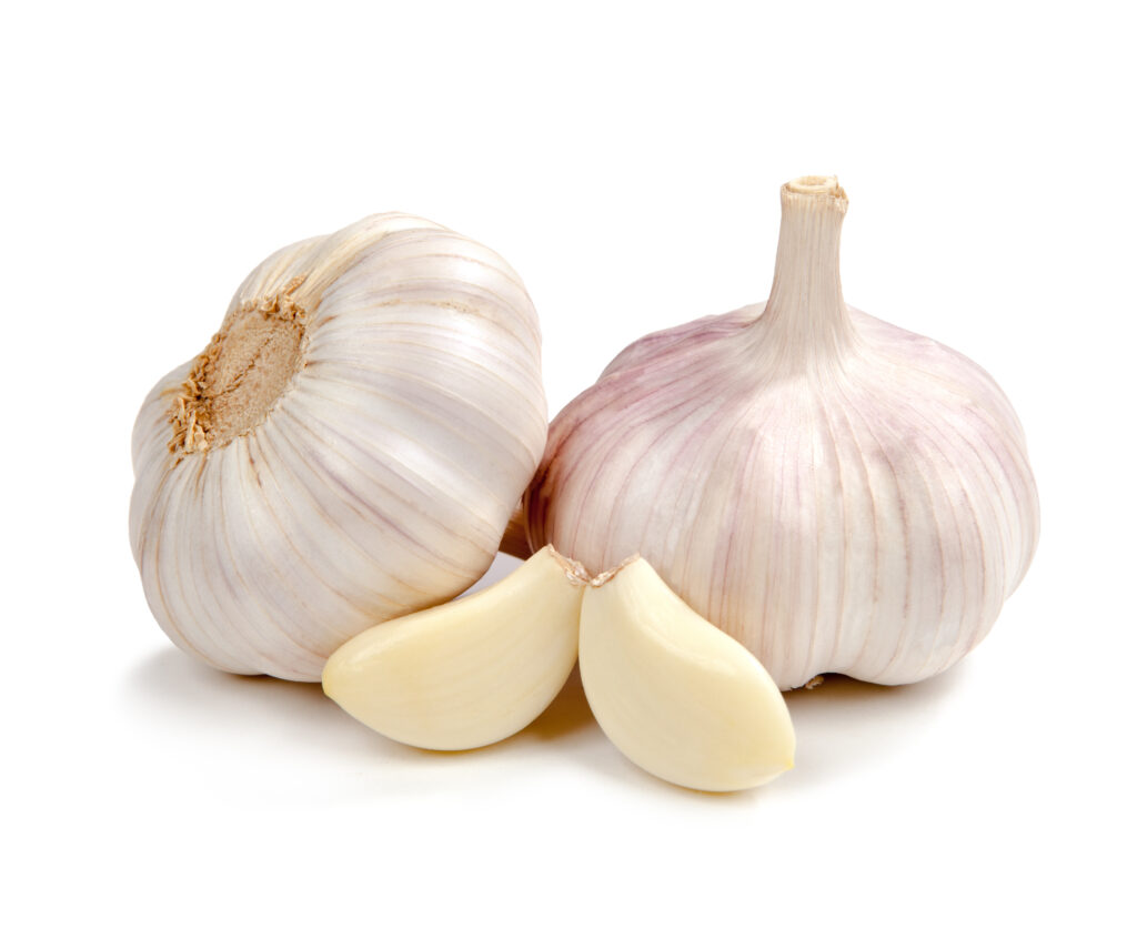 garlic for h. pylori