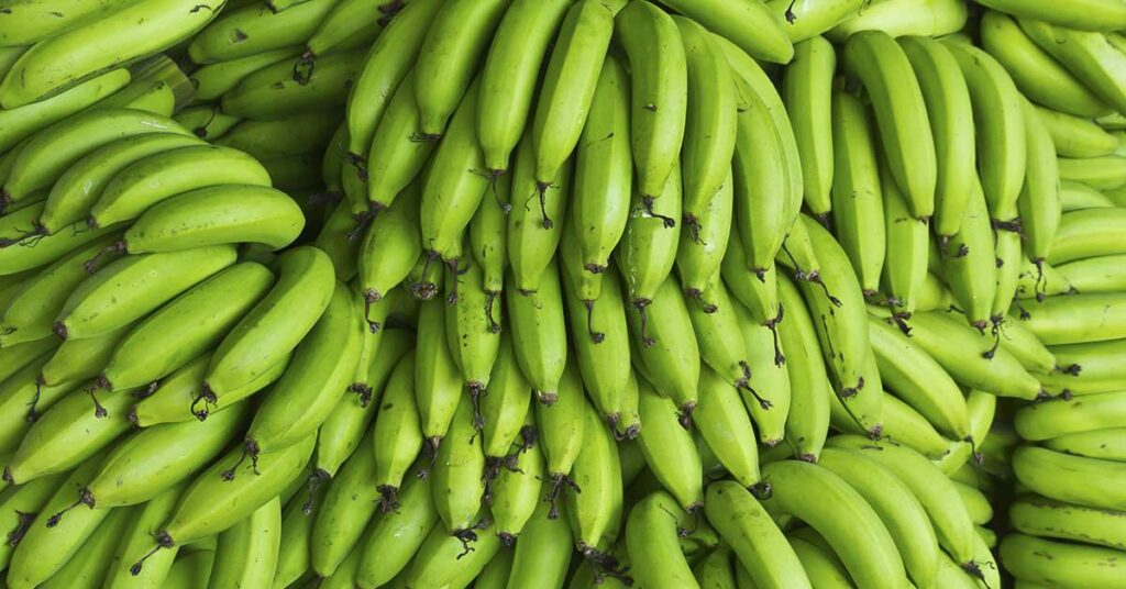 Starch in Green Bananas May Slash Risk of Some Cancers by Over 60%, Study Finds - Featured image