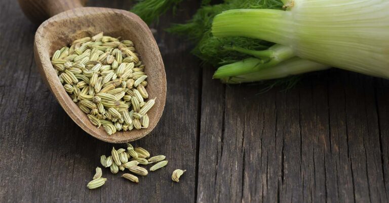 7 Benefits of Fennel and Fennel Seeds - Featured image