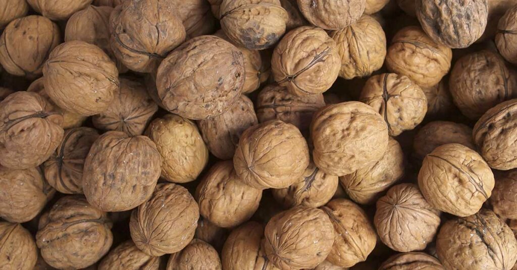 Boiling Whole Walnuts A TimeTested Culinary Trick The Hearty Soul