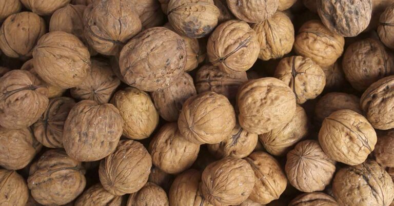 Boiling Whole Walnuts: Unveiling Grandma’s Time-Tested Culinary Trick - Featured image