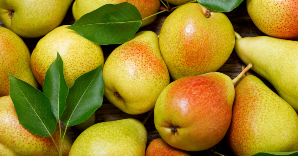 fresh pears with leaves as background, top view
