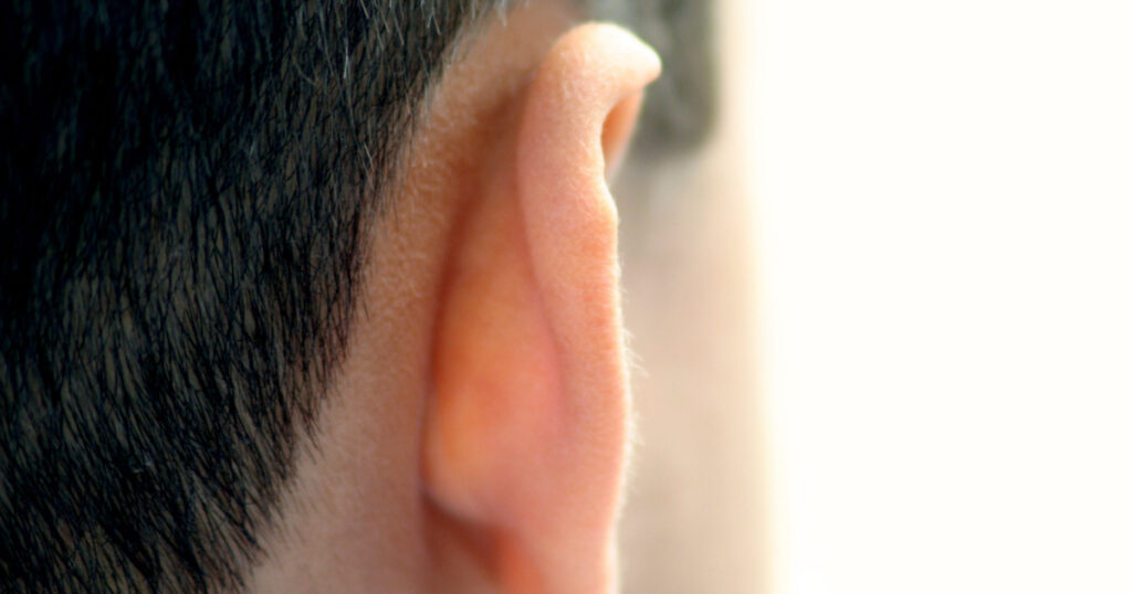 back of ear