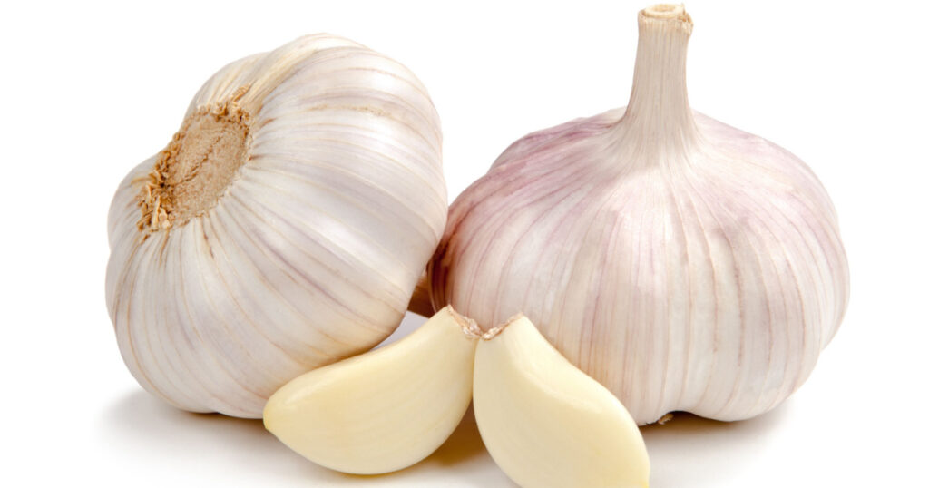 Fresh garlic isolated on white background
