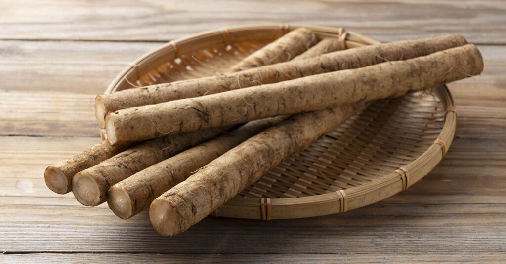 Why Burdock Roots Are the Most Important Part of the Plant - Featured image