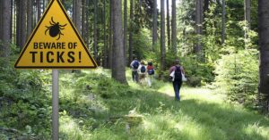 Beware of Ticks warning sign on a tree in forested area
