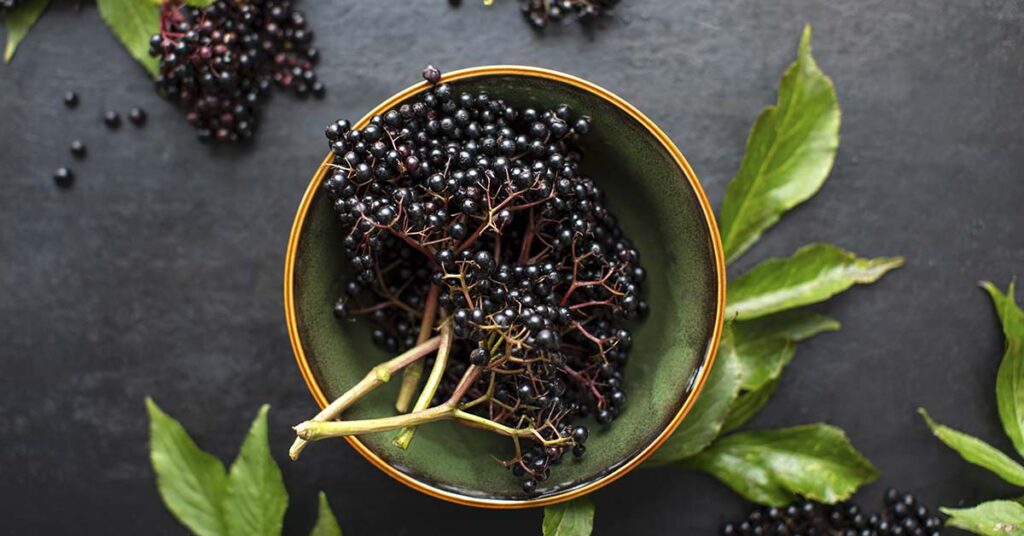 How To Make Deliciously Fizzy Elderberry Soda - Featured image